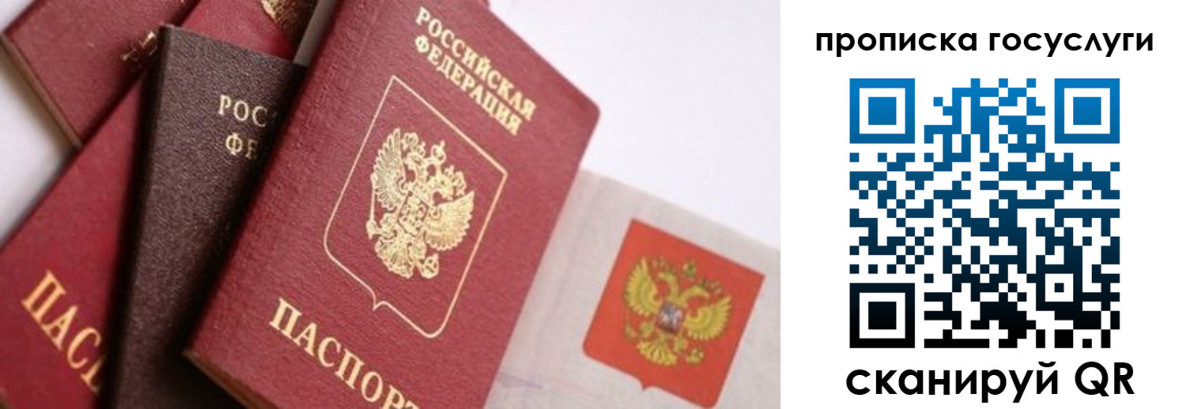 прописка законно в Поворино